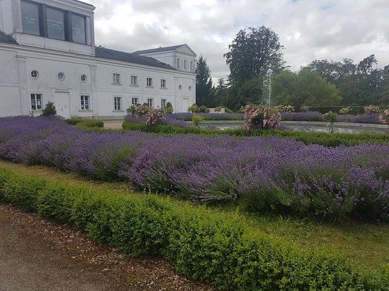 Orangerie Putbus
