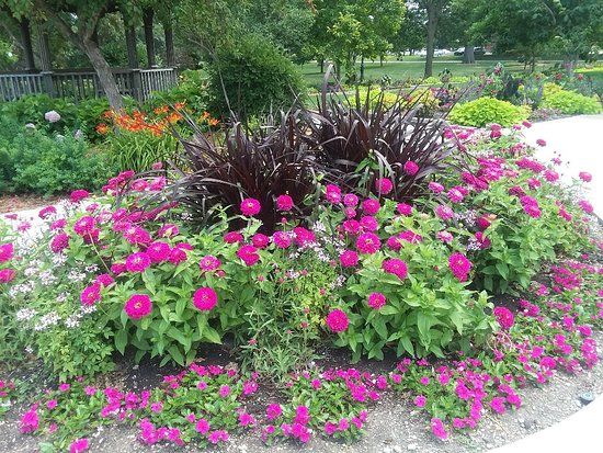 Buxton Park