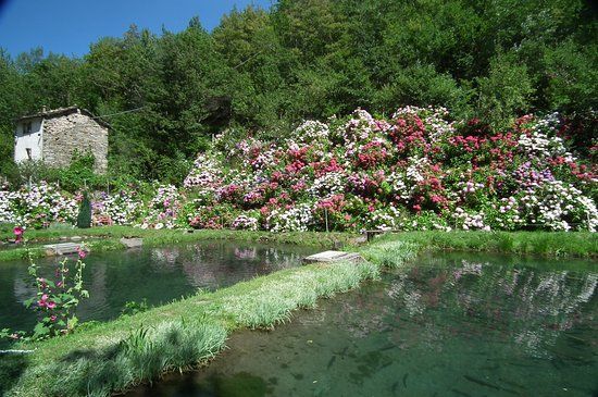 Laghetto del Dardagna