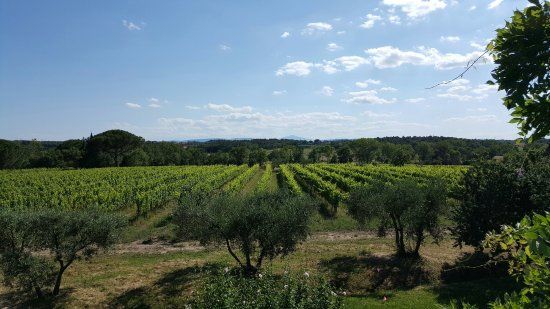 Podere Marella
