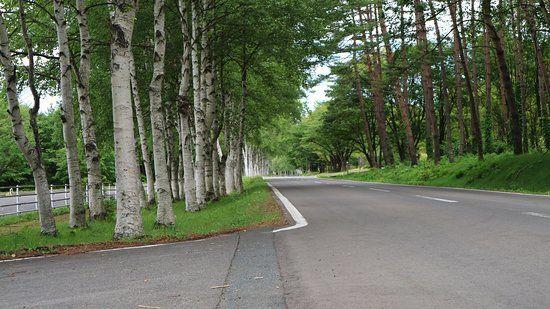 Forest Forest Petting Learning Museum of Iwate Prefecture Residents