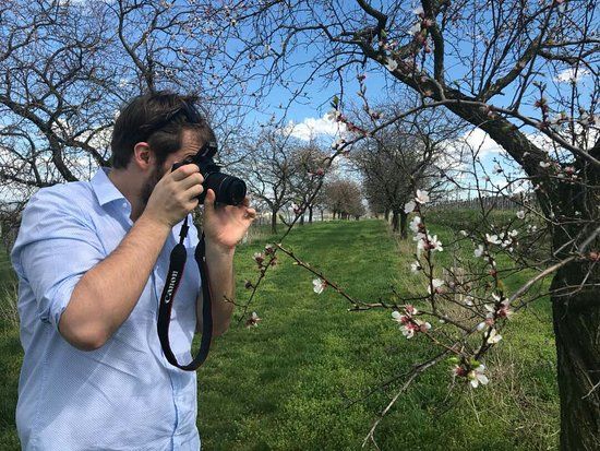 Wachau Cultural Landscape