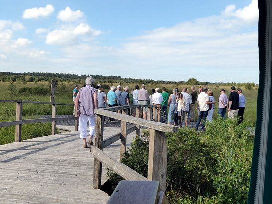 Ahlenmoor