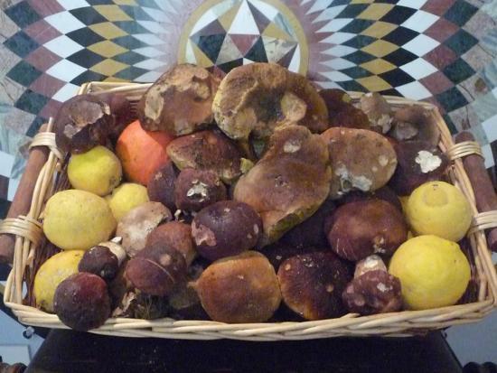 La Farina del Mio Sacco