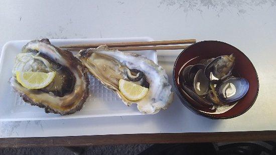 Matsushima Sugihara Isao Shoten