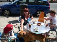 Maes-Y-Gwernen Hotel