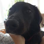 Hotel Palms Garden Restaurant