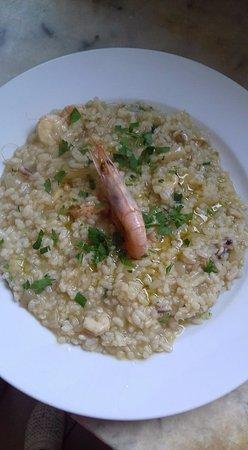 Un Punto Macrobiotico