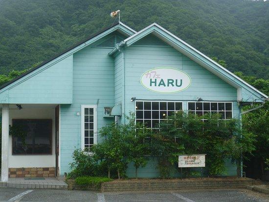 Cafe Haru