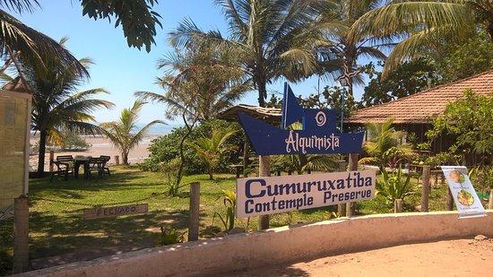 Creperia O Alquimista