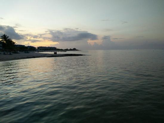 Mimi's Dock Bar & Restaurant