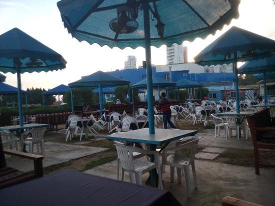 Dolphin Resort Restaurant