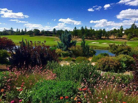 Talon Grill Restaurant