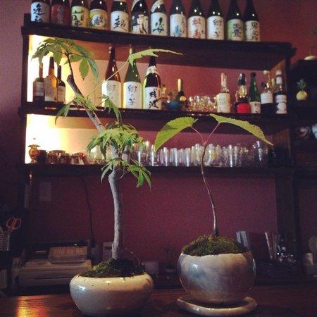 Bar de Nikko Kujira Shokudo