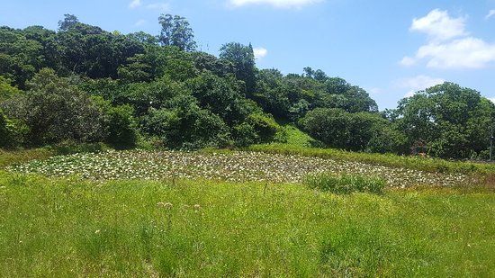 New Germany Nature Reserve
