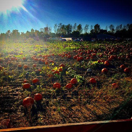 Cedarburg Creek Farm