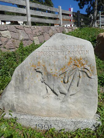 Fossilienmuseum Mölten