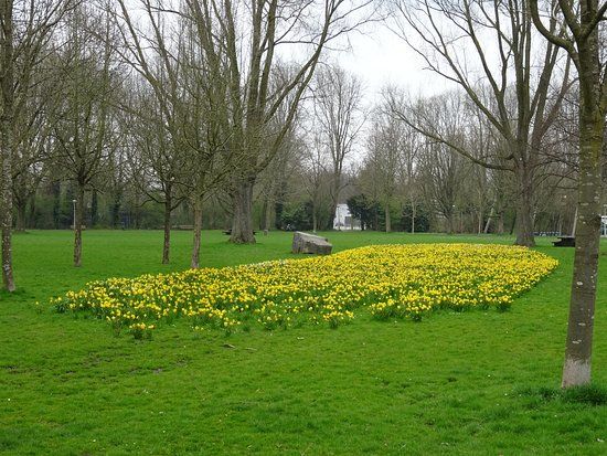 Martin Luther Kingpark
