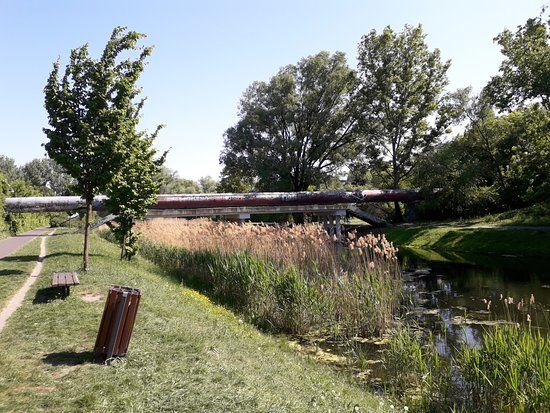 Kępa Potocka-parken