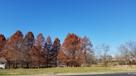 City Centre Park