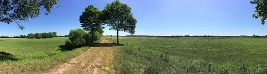 Nederheide