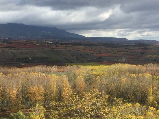 Parque de Iturrimurri