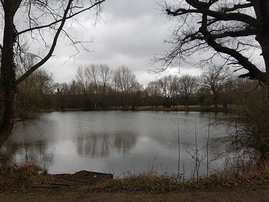 Pioneer Meadows Nature Reserve