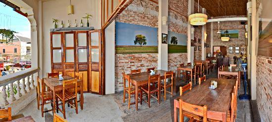 The Lonely Tree Cafe