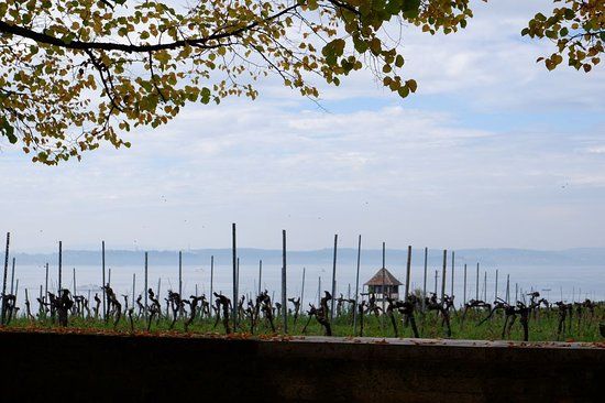 Kriegsgraber- und Gedenkstatte Lerchenberg