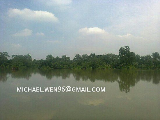 Muara Angke Wildlife Reserve