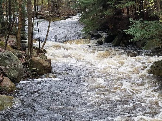 Sunny Brook State Park