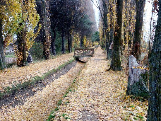La Acequia