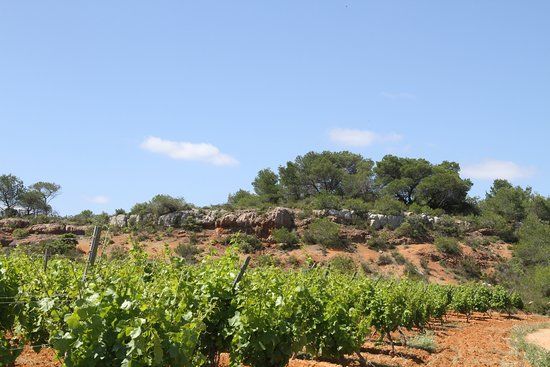 Randonnee Parcours d'Art et de Nature