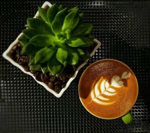 Buddy Coffee & Travel