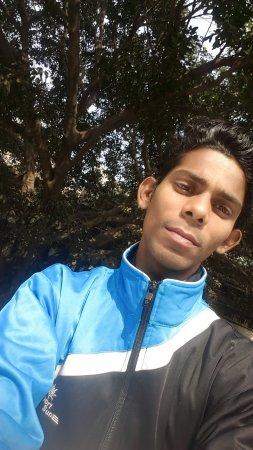 Sunny Chicken & Chicken Soup