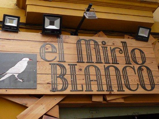 El Mirlo Blanco