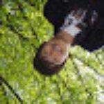 Mapo Oyster Bridge Fist Meat