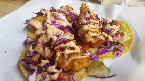 Gracias Padre Jungle Club