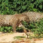 Rajadhani Delux Bar & Restaurant