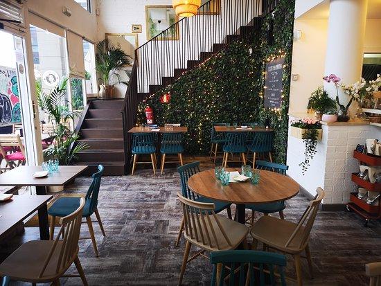 El Gato Y La Almendra