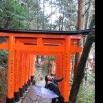 The Garden Grille & Bar