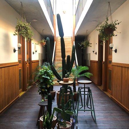 The Potting Shed Cafe