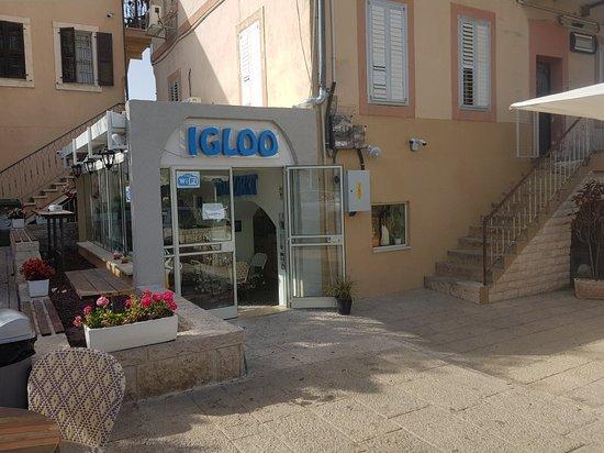 Igloo Yogurt Bar