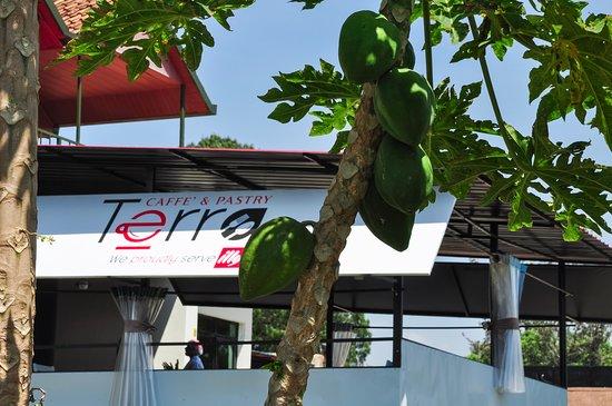 Terra Restaurant & Grill