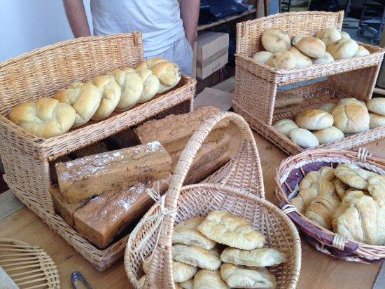 La Maison des Co'Pains