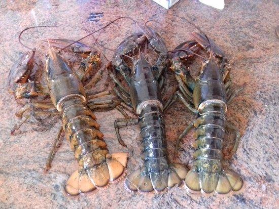 Fusion Ristorante Pizzeria Bar