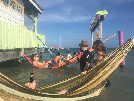 Sip N' Dip Beach Bar