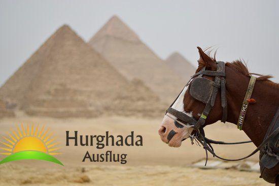 Hurghada TOURS