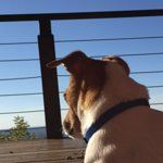 The HoneyBaked Ham Company