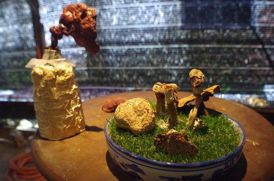 Wonder Farm Mushroom